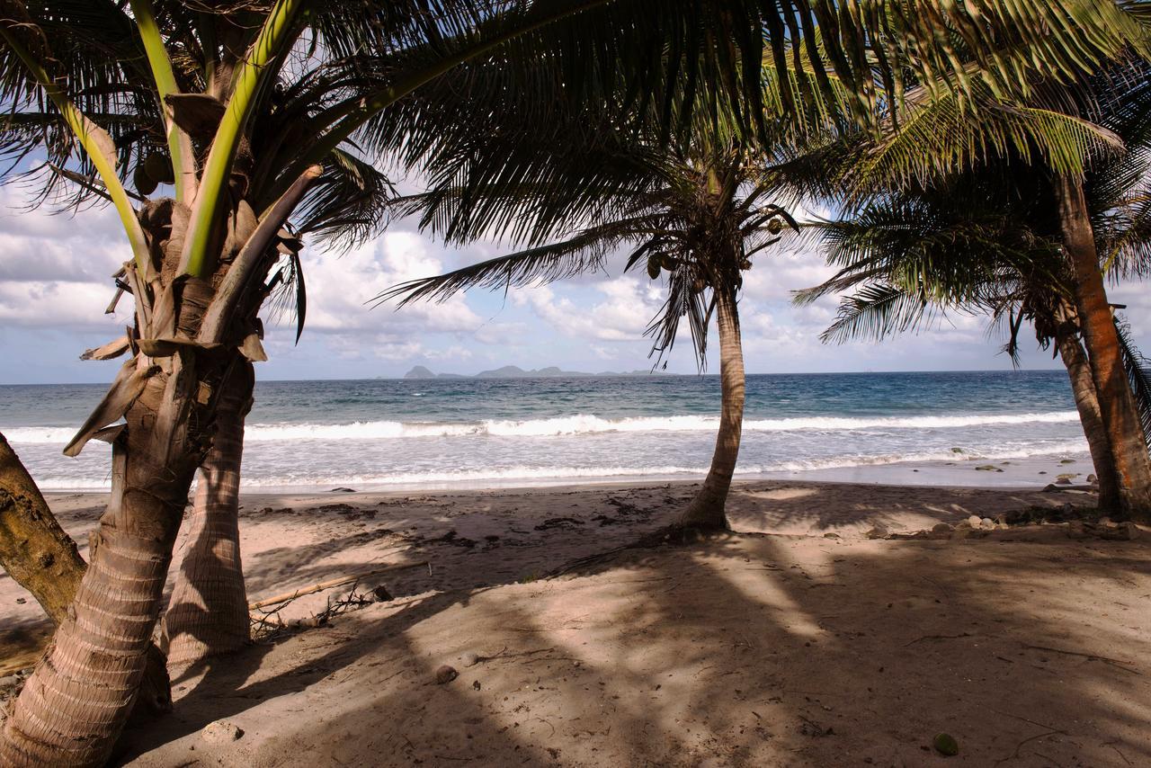 Petite Anse Hotel Mount Alexander Buitenkant foto