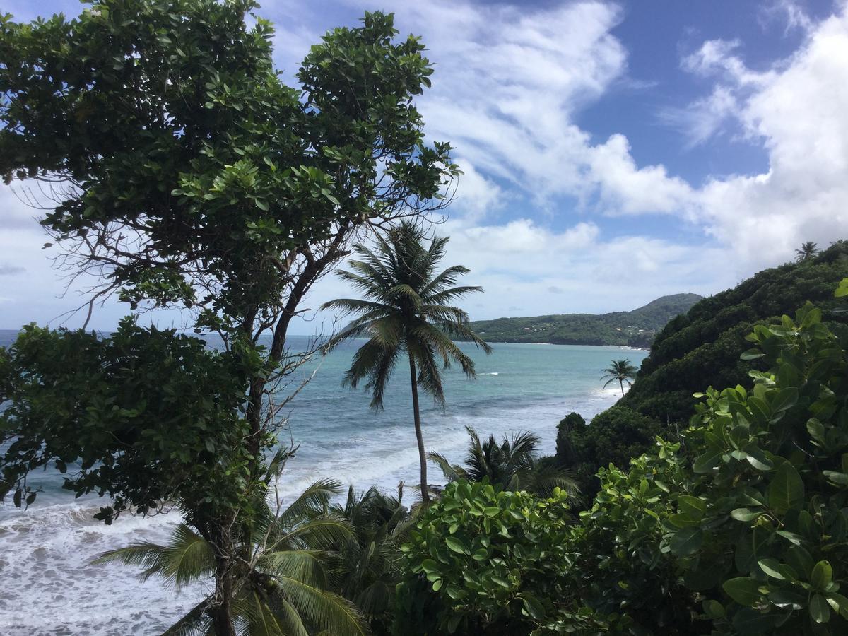 Petite Anse Hotel Mount Alexander Buitenkant foto