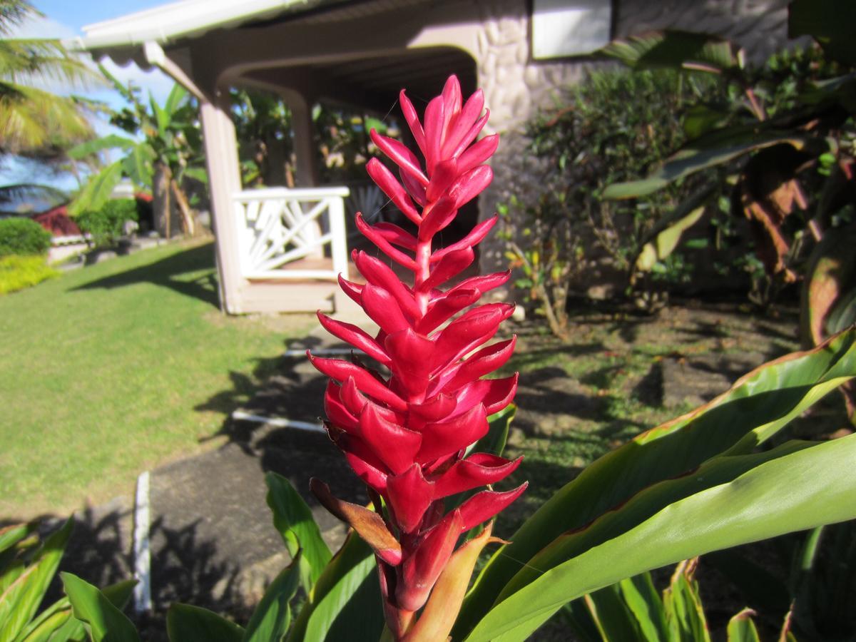 Petite Anse Hotel Mount Alexander Buitenkant foto