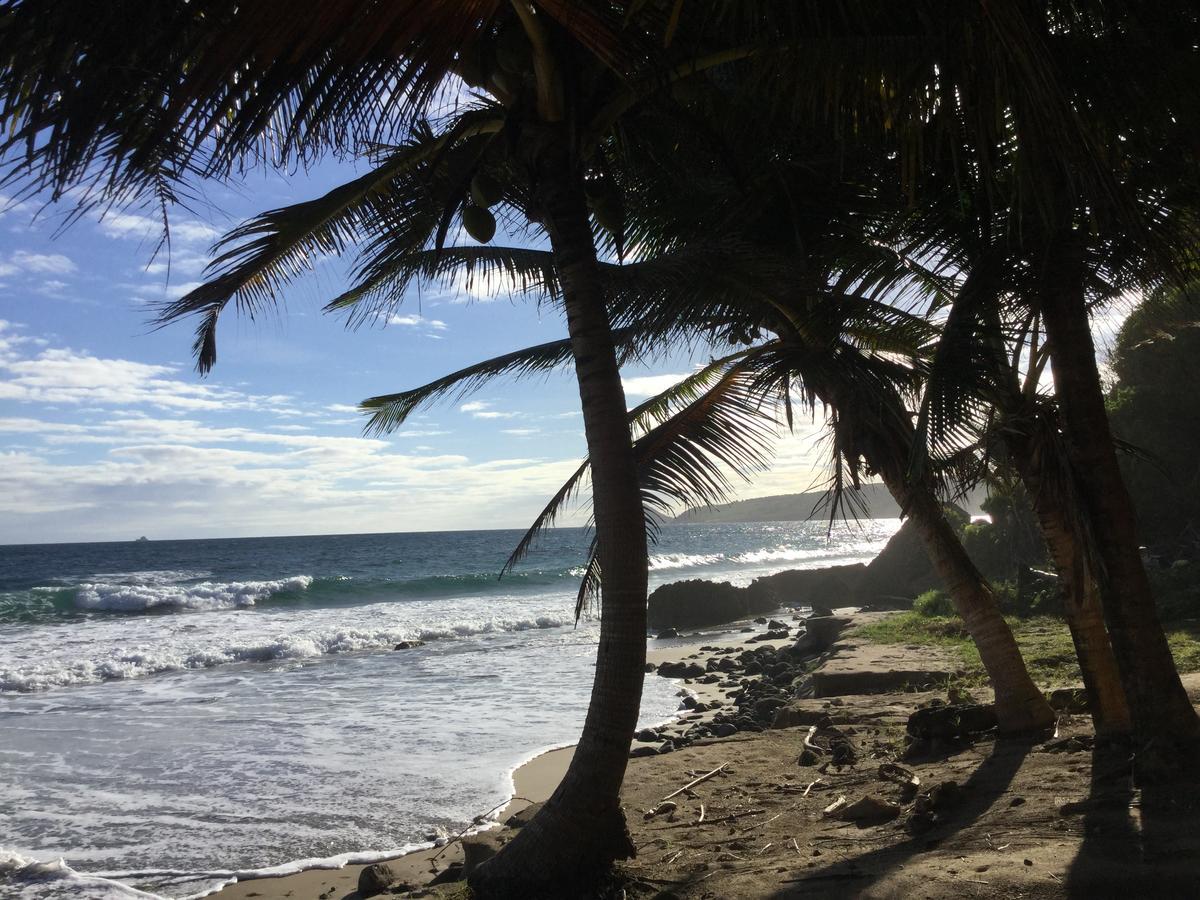 Petite Anse Hotel Mount Alexander Buitenkant foto