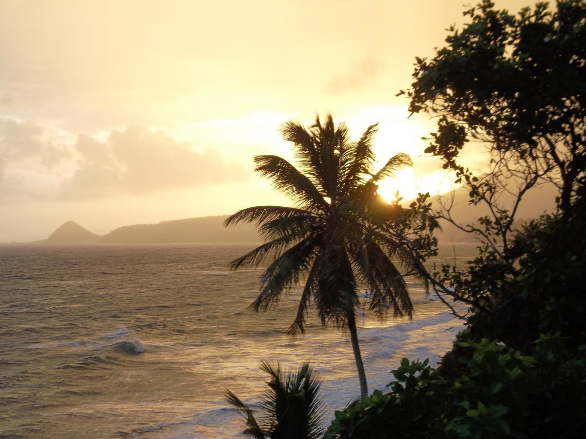 Petite Anse Hotel Mount Alexander Buitenkant foto